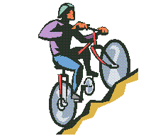Bike Festival