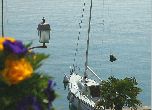 Hotel Golfo lago di Garda