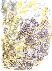 Il Palombaro Veneziano Procopio