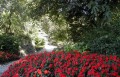 il parco, il verde e la natura