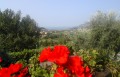 il parco, il verde e la natura