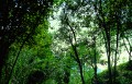 il parco, il verde e la natura