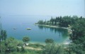 il parco, il verde e la natura