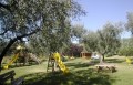 il parco, il verde e la natura