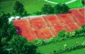 il parco, il verde e la natura