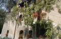 il parco, il verde e la natura