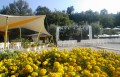 il parco, il verde e la natura