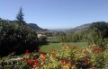 il parco, il verde e la natura