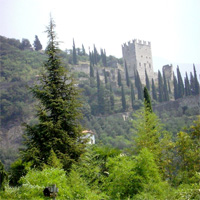 Arco